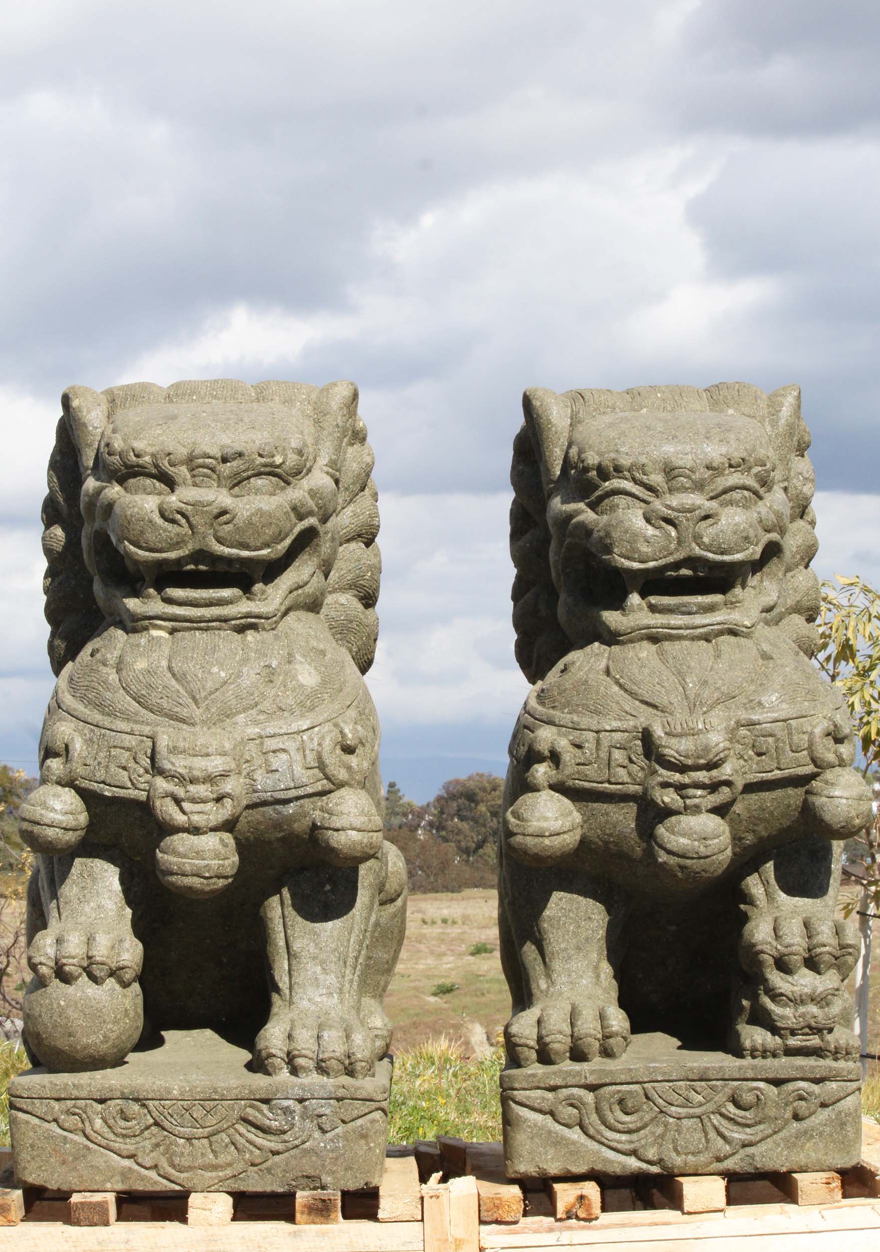 Stone Pair of Foo Dogs Statues 39"