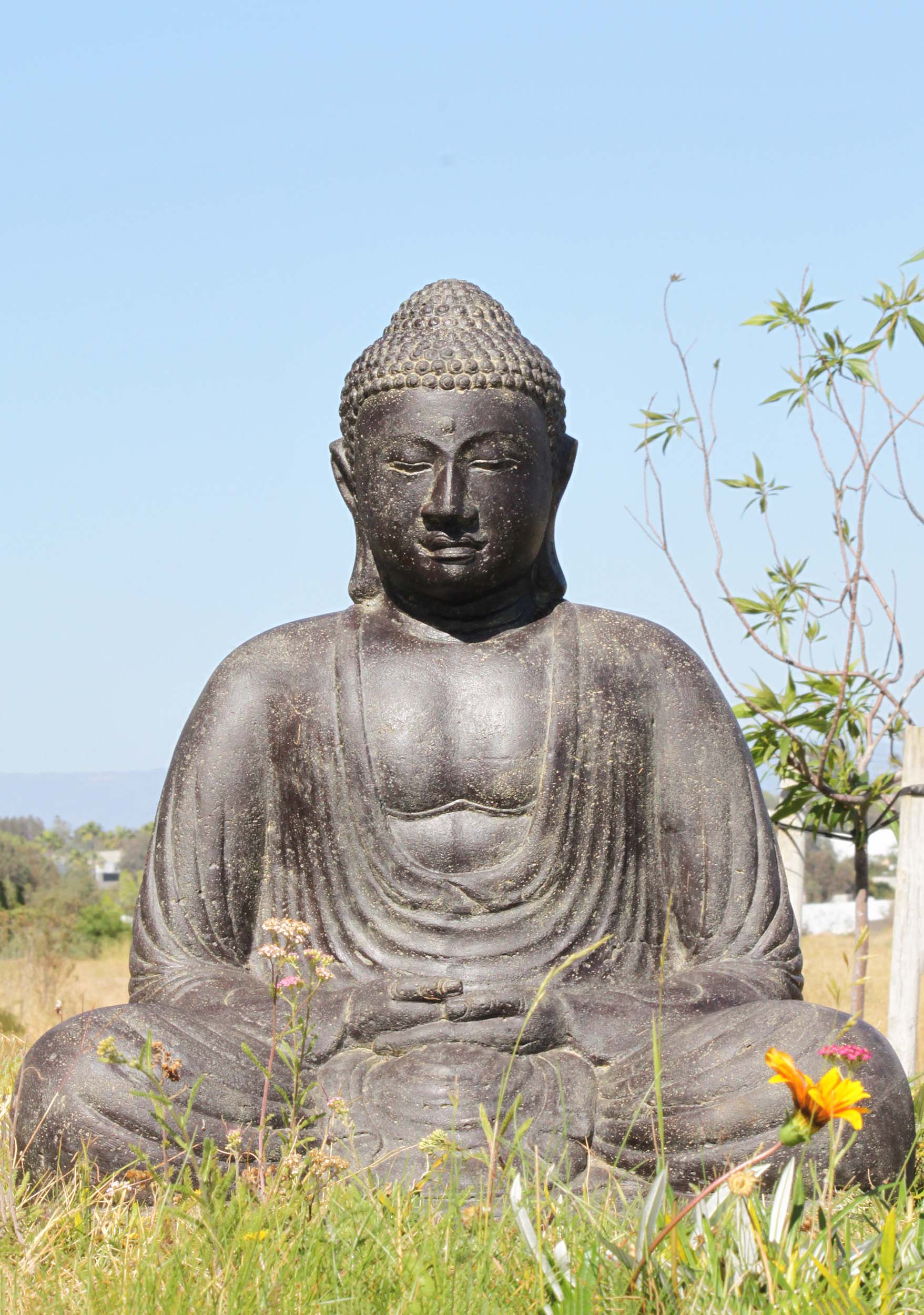 gautam buddha statue in water