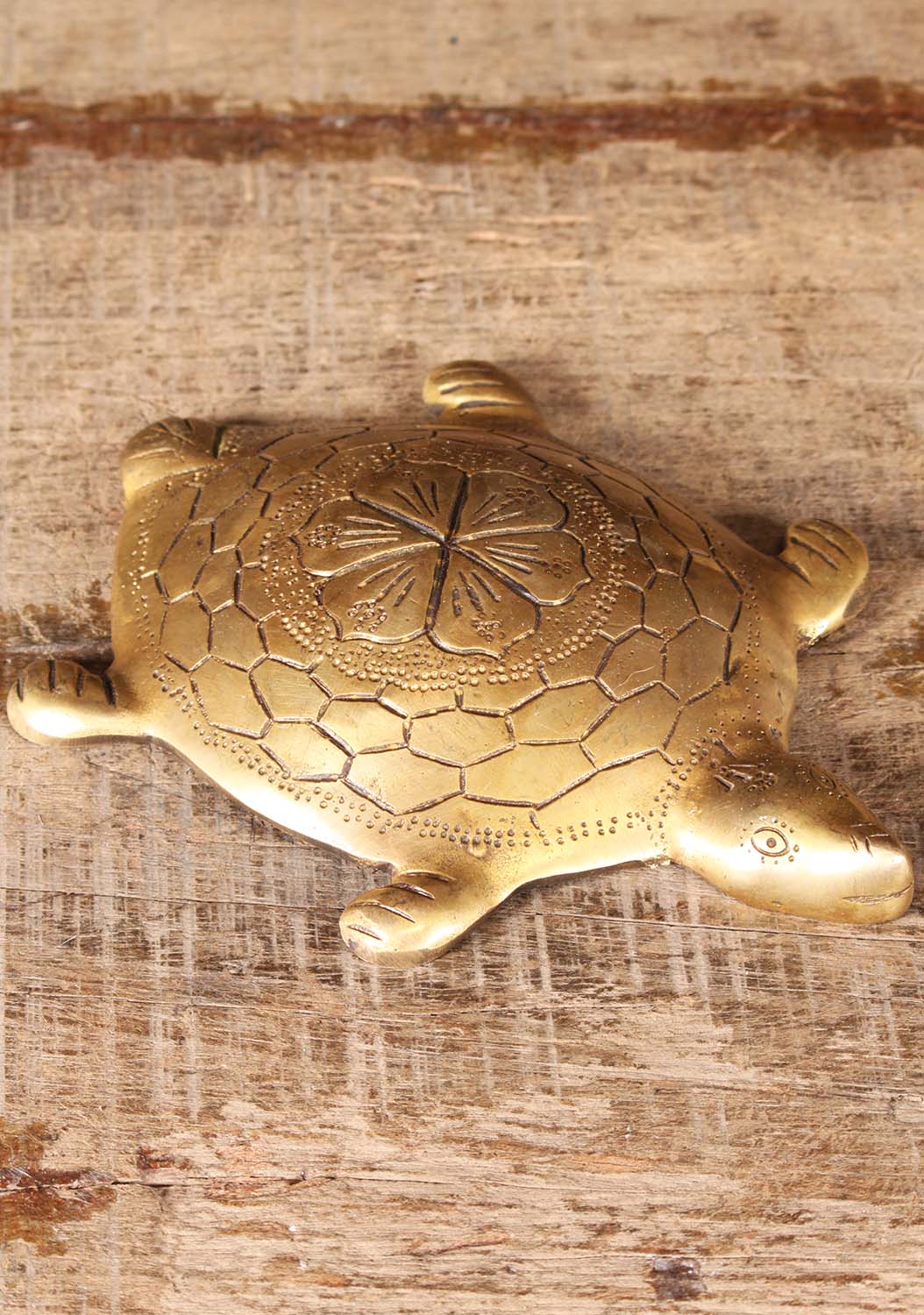 Brass Turtle with Vaastu Shastra for Luck 8.5