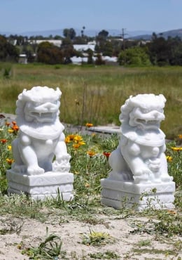 Hand Carved Large Foo Dogs Statues Chinese Feng Shui Protecting