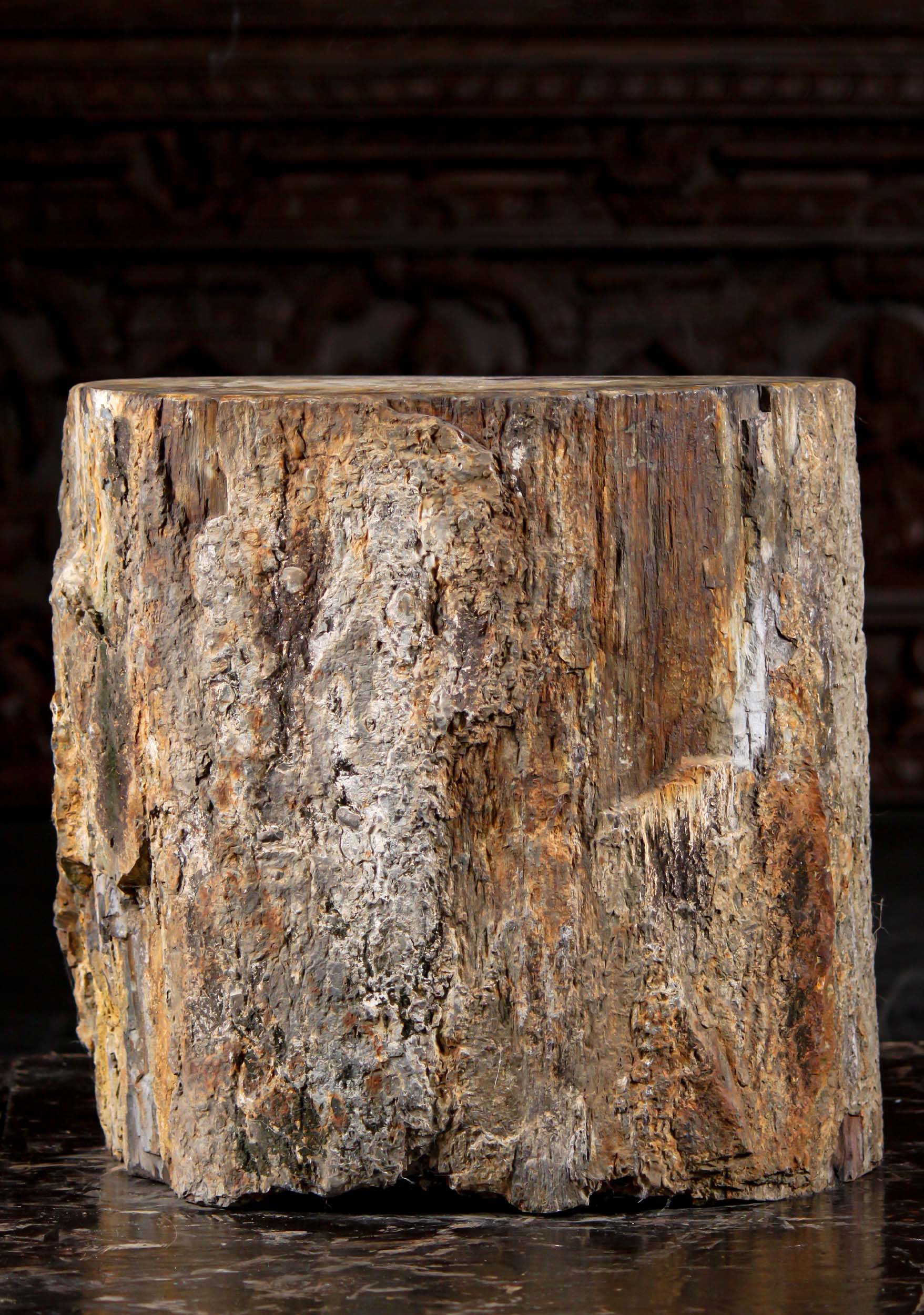 Stone Petrified Wood Tree Stump Perfect Table or Base for Statues from Java, Indonesia  17.5"