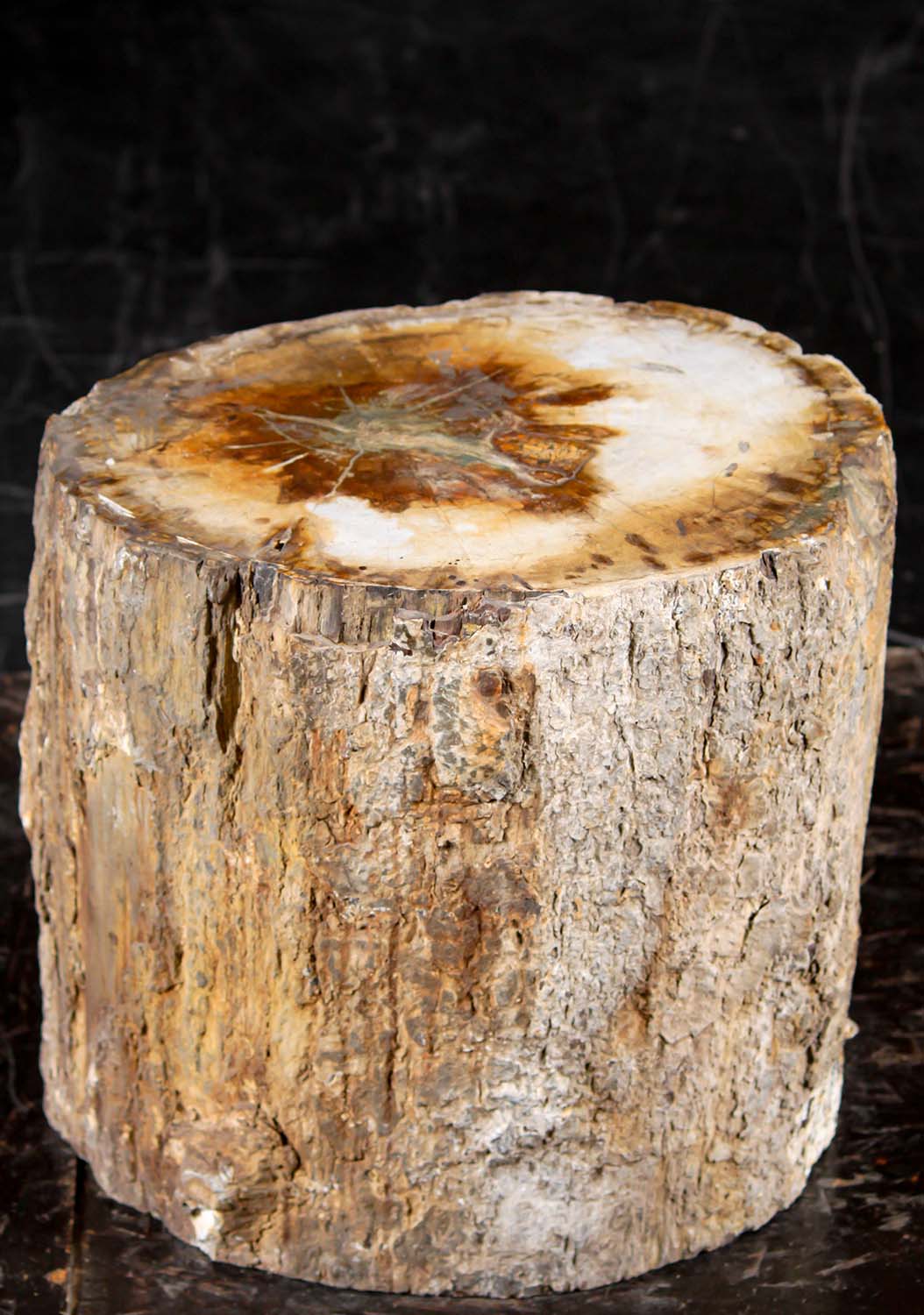 Natural Petrified Wood Statue Base Pedestal for Statues From Java, Indonesia 18"