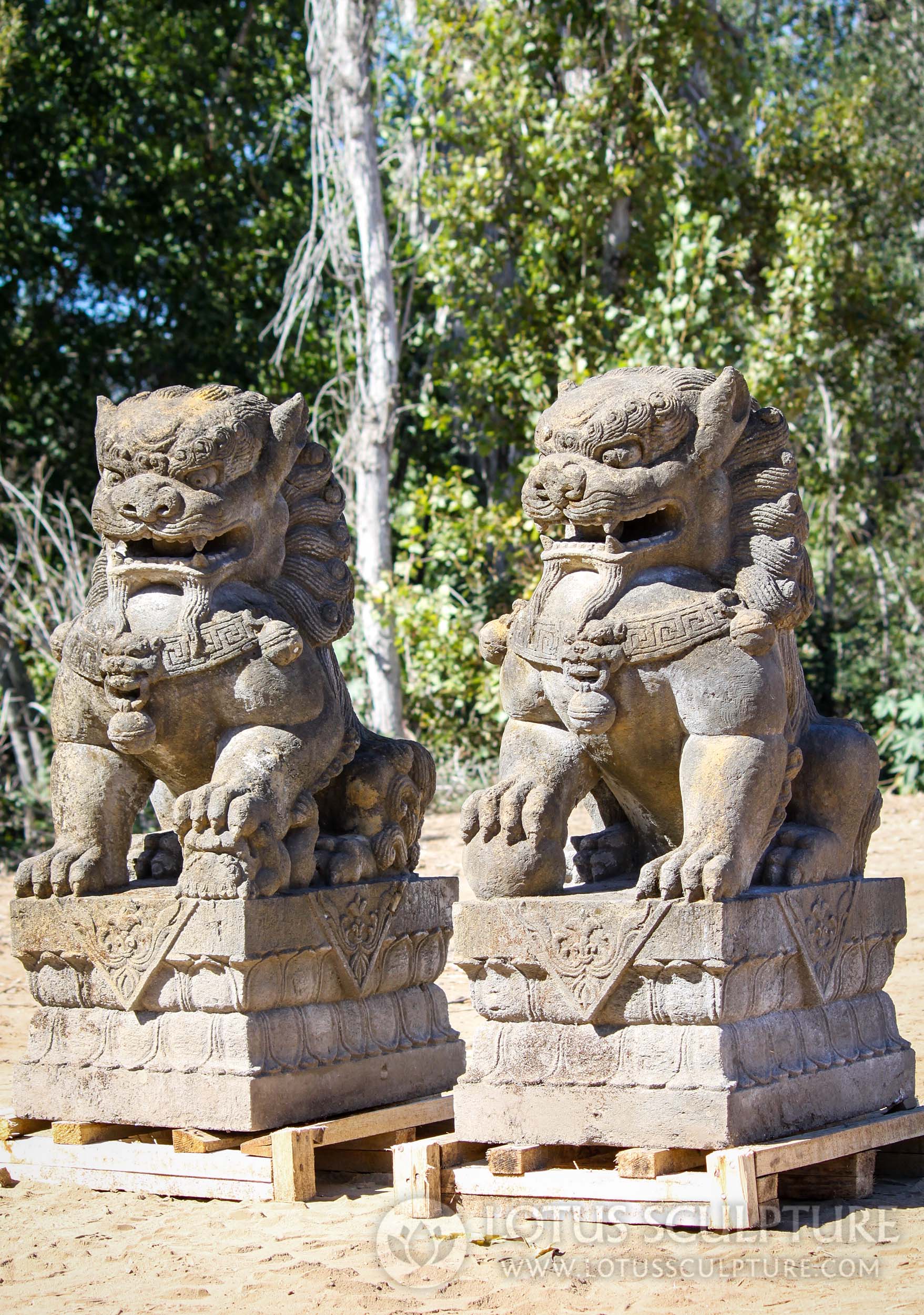 Pair of Hand Carved Stone Guardian Shishi Lions or Foo Dogs Statues Perfect for the Garden 45"