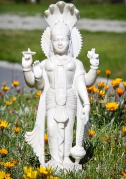 M&M - Idol Collections Lord Vishnu Standing Brass Statue / Maha Vishnu with  Holding Shankh and Chakara Idol