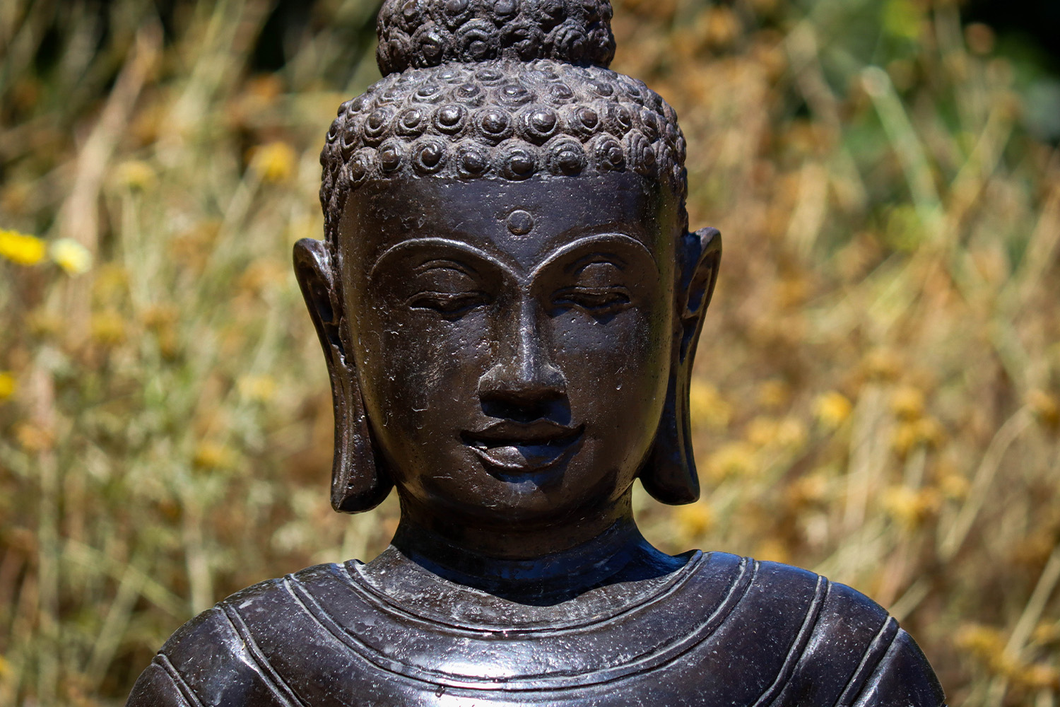 SOLD Lava Stone Padmasana Buddha Statue in Full Lotus - Earth Touching ...