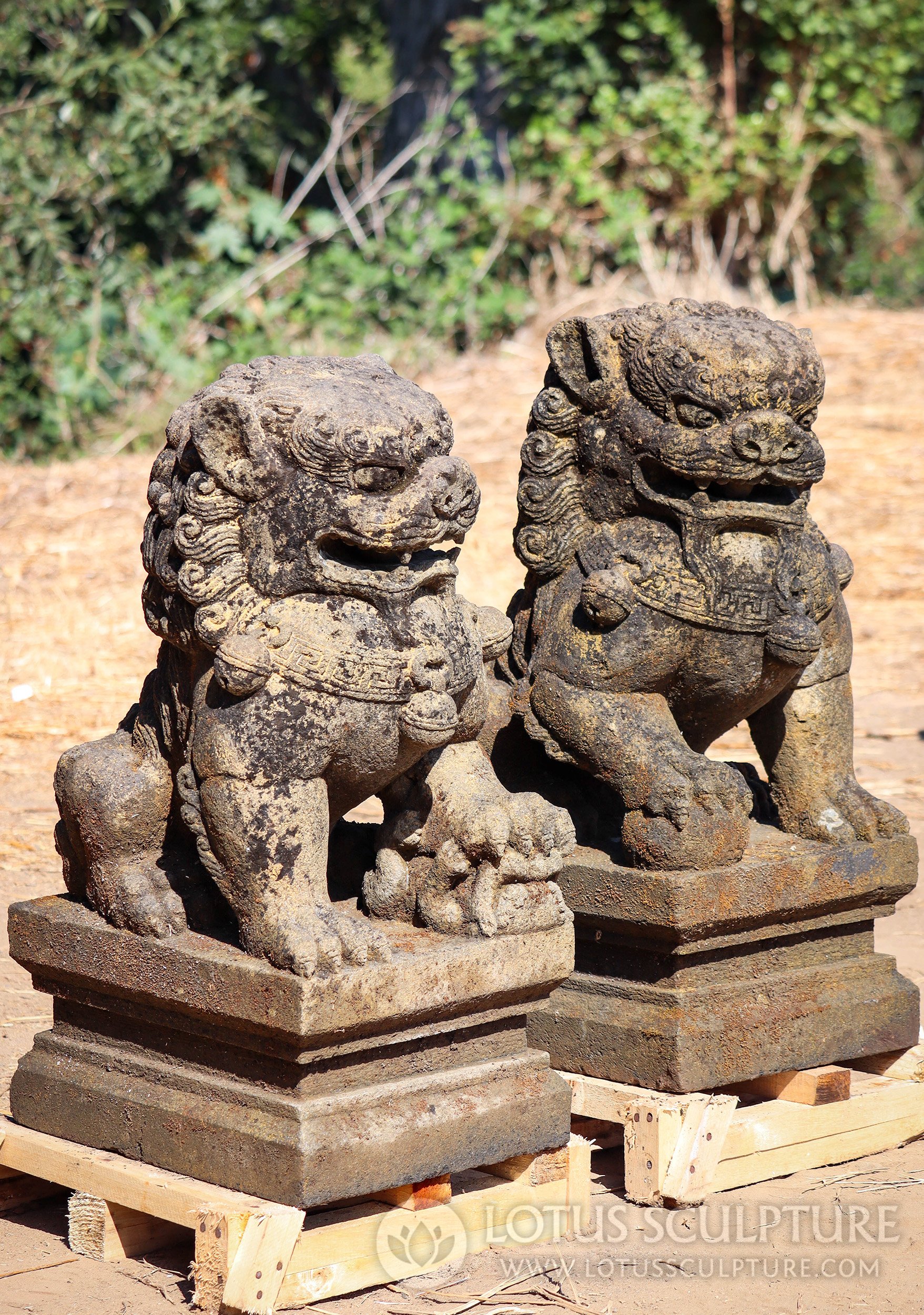 Lava Stone Foo Dogs or Shishi Guardian Lions Statues Hand Carved 31"