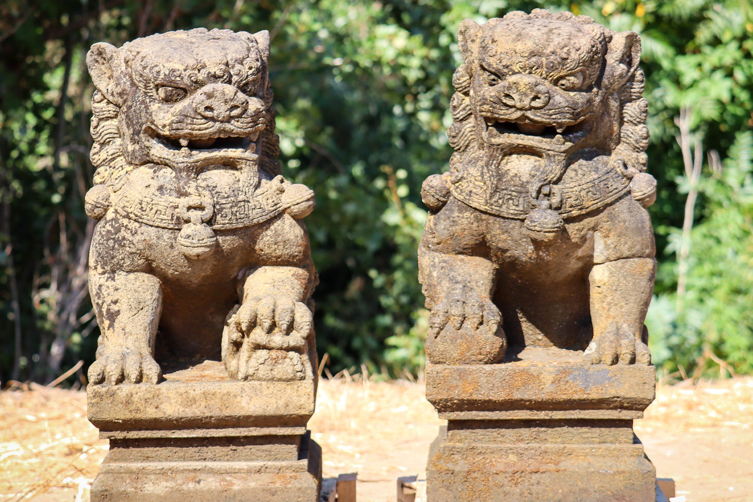 SOLD Lava Stone Foo Dogs or Shishi Guardian Lions Statues Hand Carved