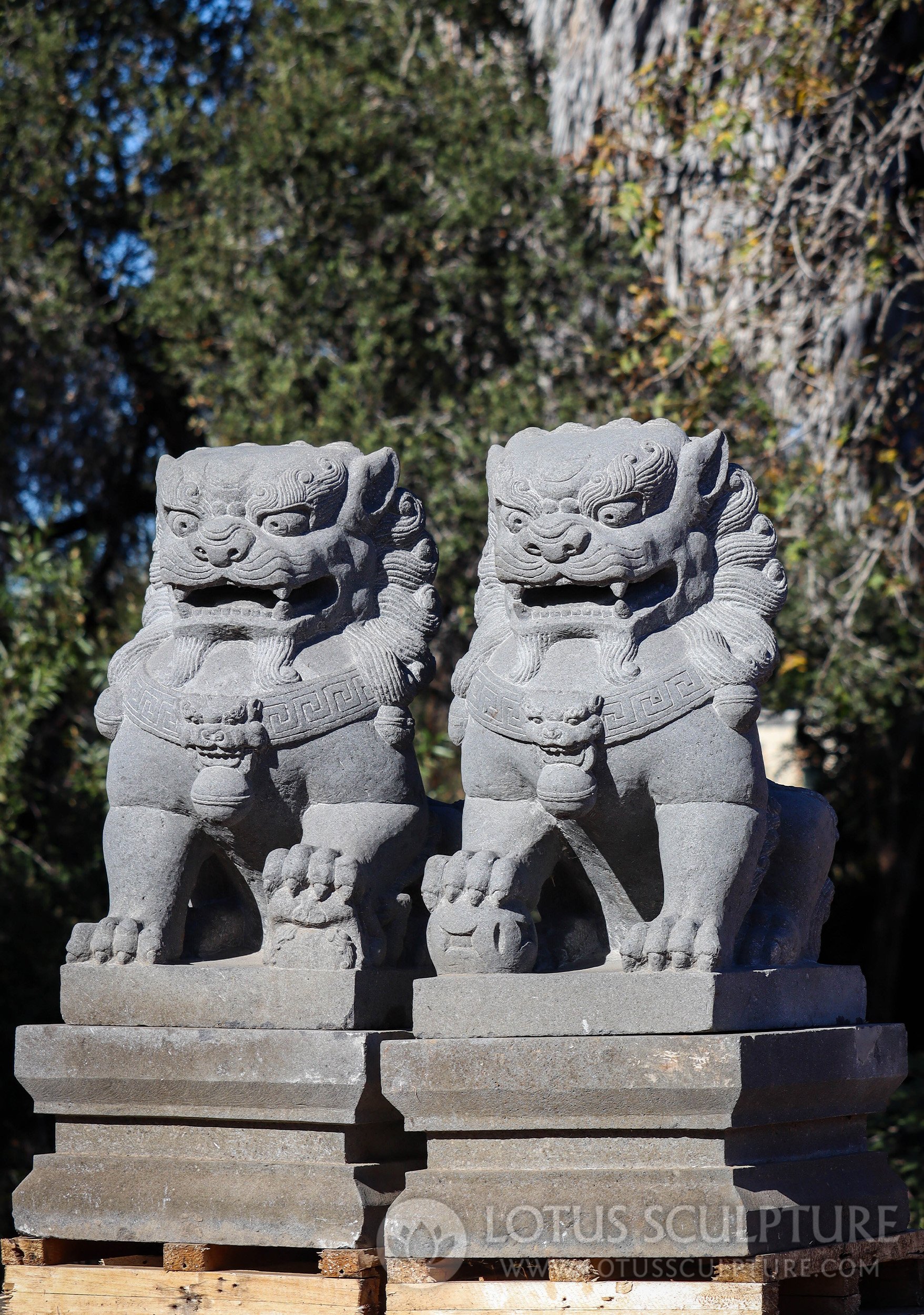 Foo Dogs on Pedestals - Hand-Carved Lava Stone Yin and Yang Guardian Pair 38"