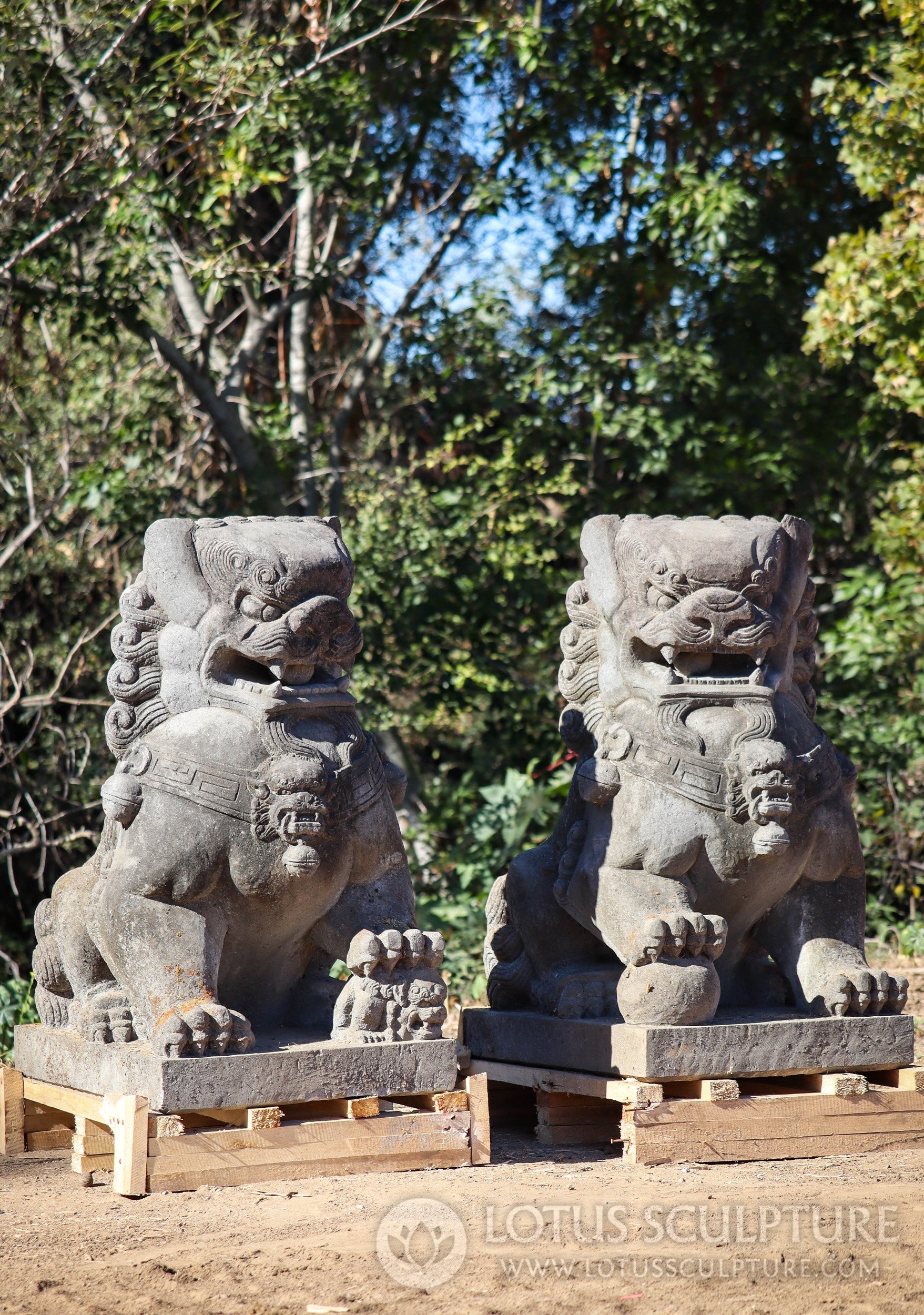 Foo Dogs or Shishi Guardian Lions Statues Hand Carved from Volcanic Lava Stone 38"