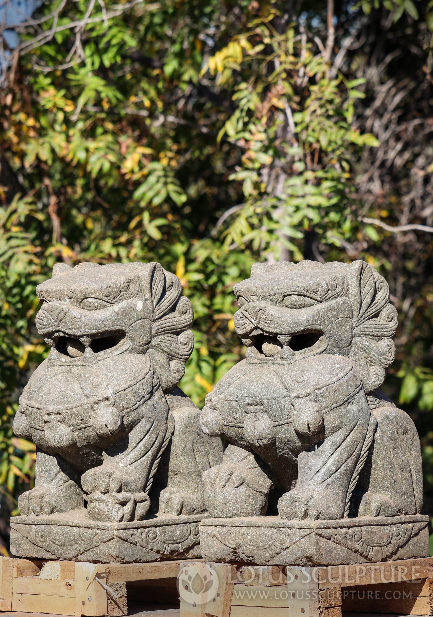 Pair of Stone Guardian Shishi Lions or Foo Dogs Garden Statues Hand Carved in Indonesia 24"