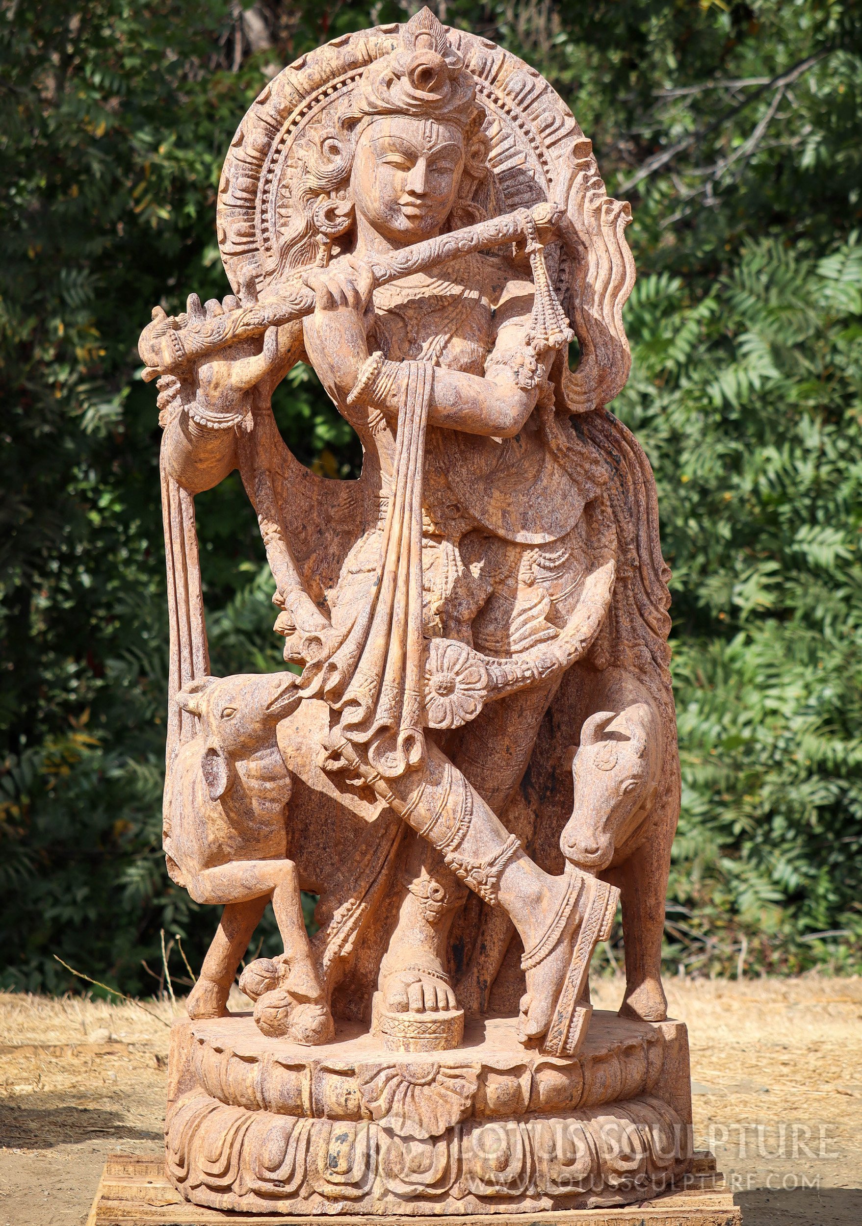 Krishna Garden Sculpture Odishan Sandstone God Playing Flute with Two Cows 60"