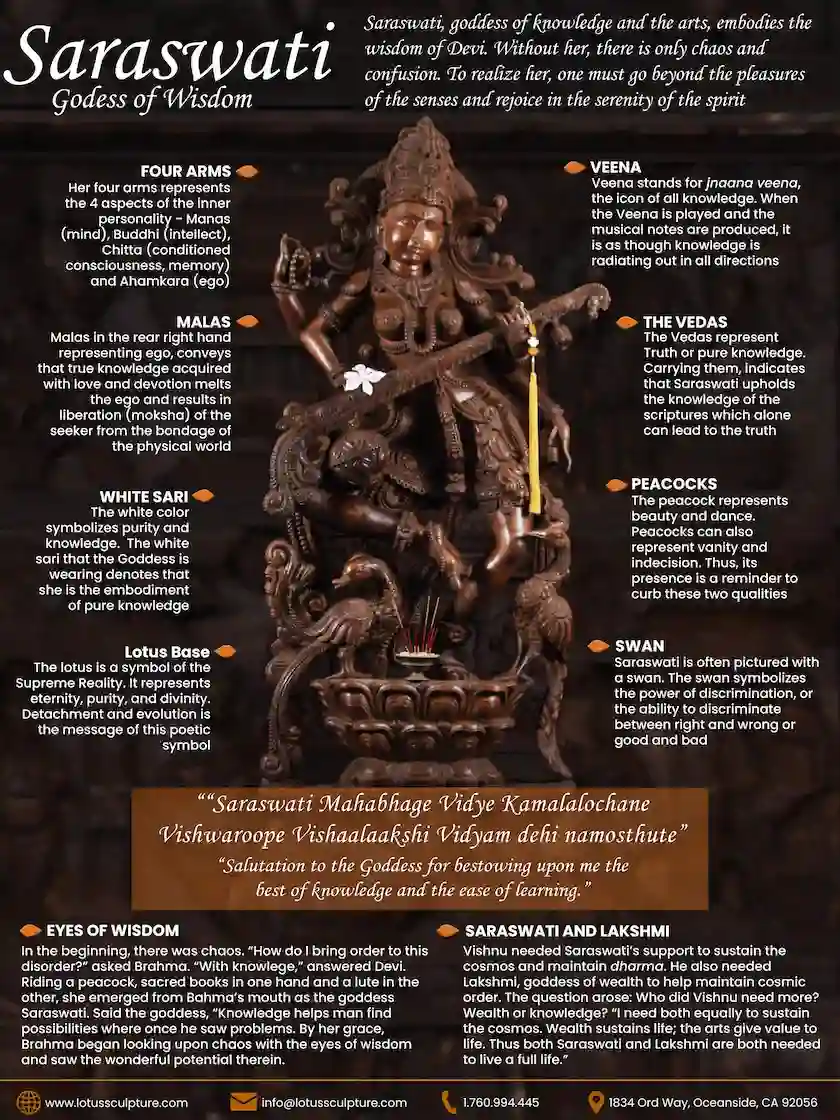 Saraswati Symbolism Infographic